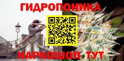 бошки Кандалакша